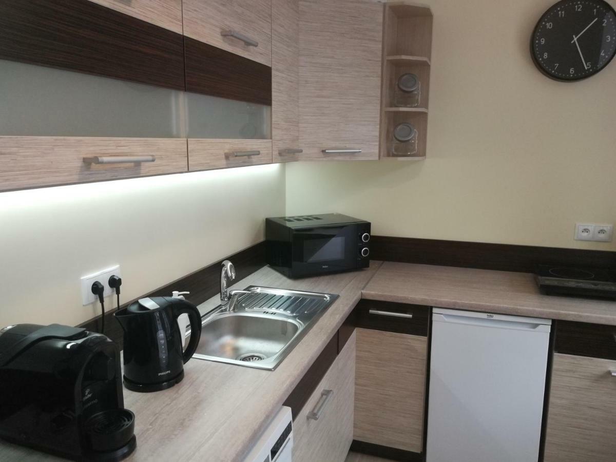 Apartament Parkowy دوشنيكي زدروي المظهر الخارجي الصورة