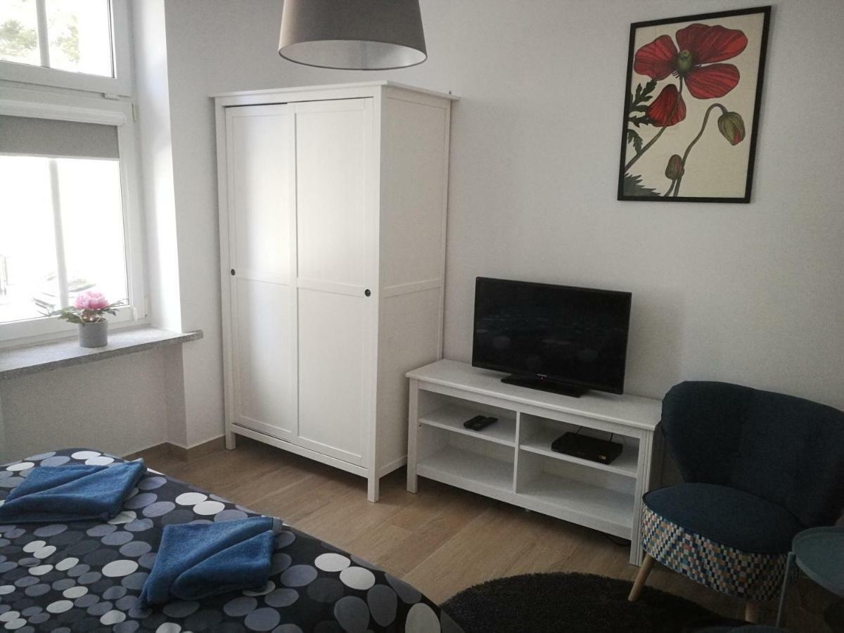 Apartament Parkowy دوشنيكي زدروي المظهر الخارجي الصورة
